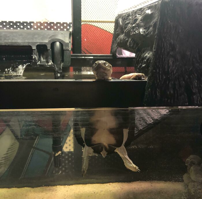 02-15-30-16438914101440753190