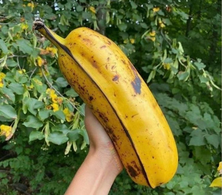 02-16-20-1645795226934760941