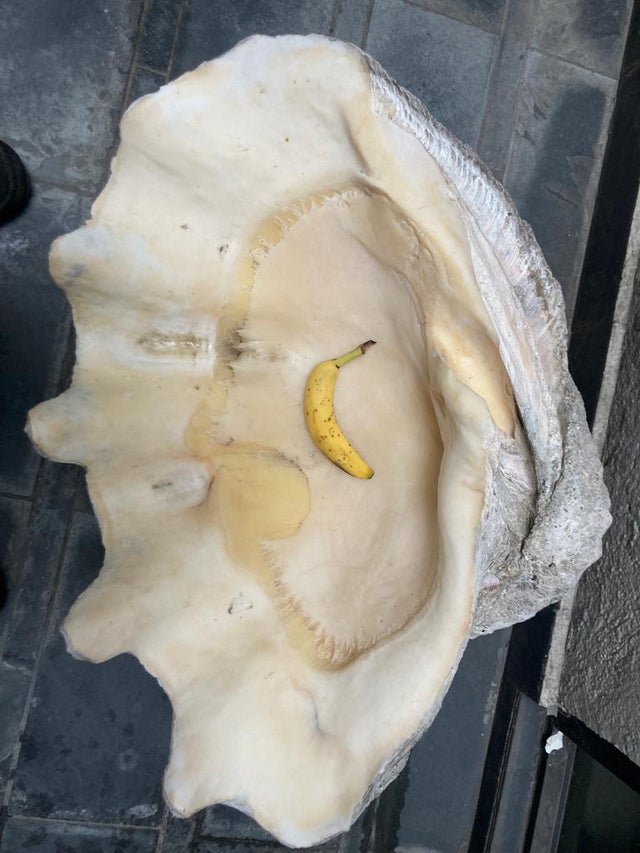 02-16-20-16457952501540964832