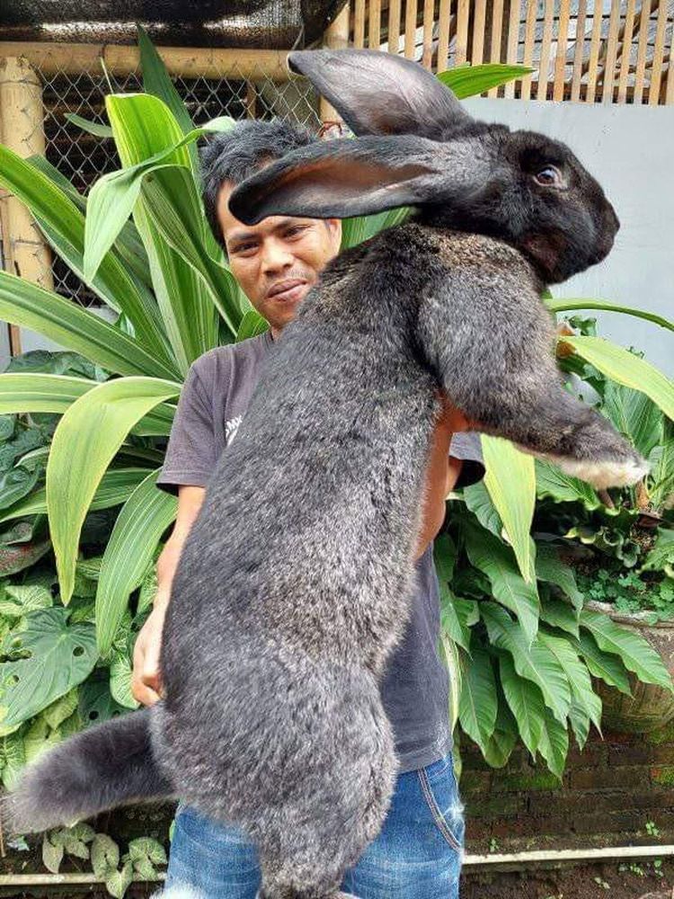 02-16-21-16457952611353744092