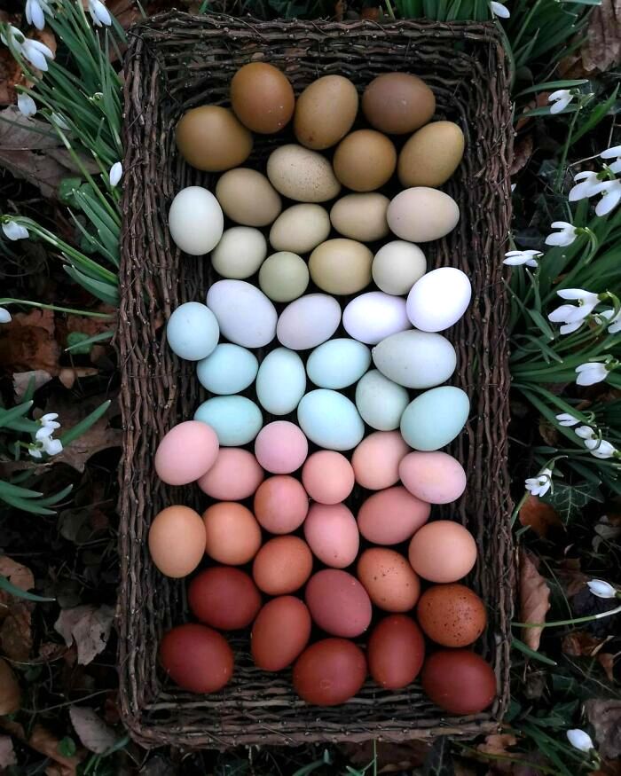 02-17-53-1645109580929555938