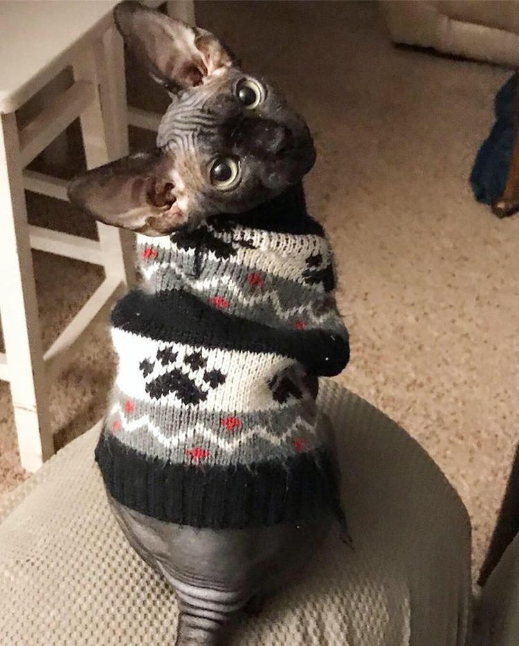 02-21-30-16442586081826111123