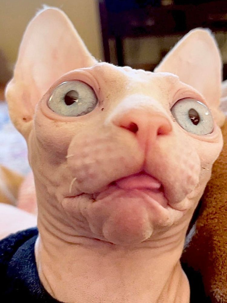 02-21-30-16442586101142065336