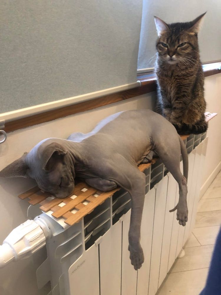 02-21-30-1644258616384274436