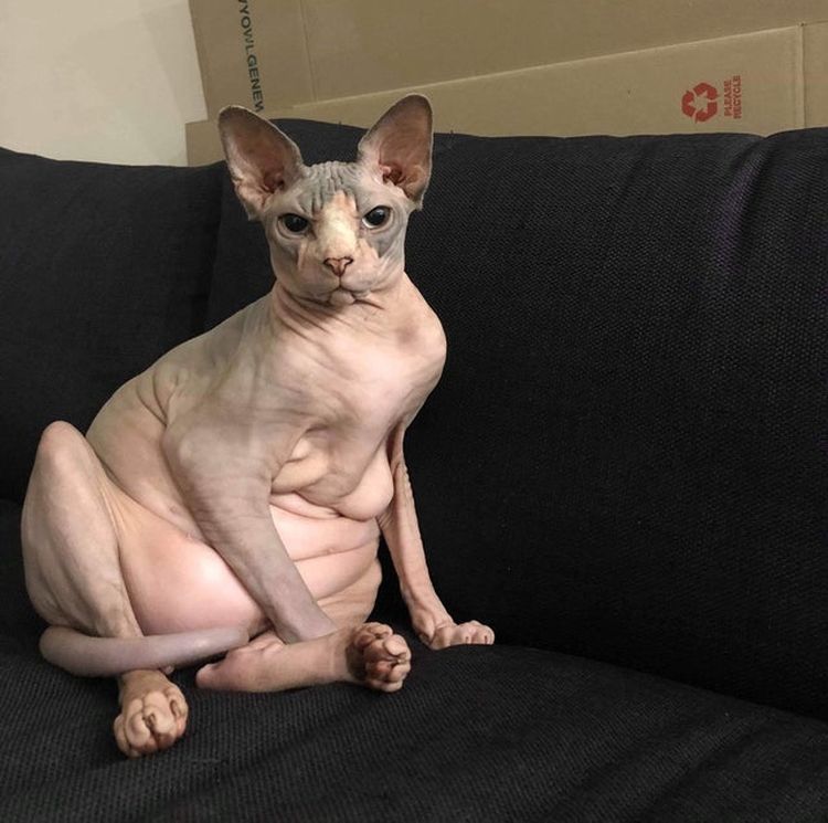 02-21-30-1644258623910819519