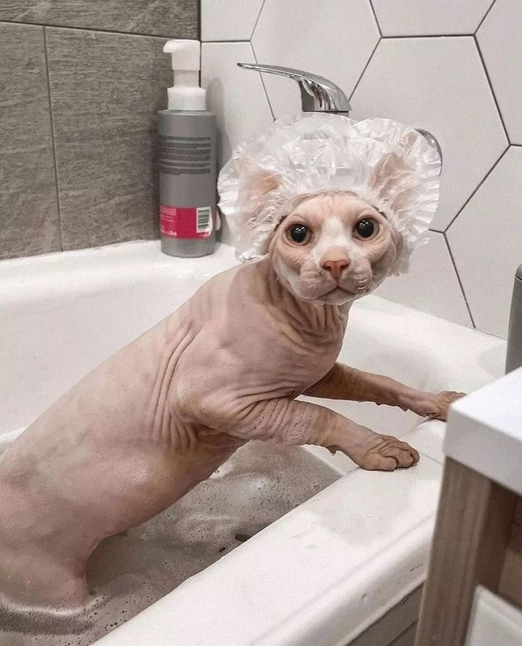 02-21-30-16442586291903300198