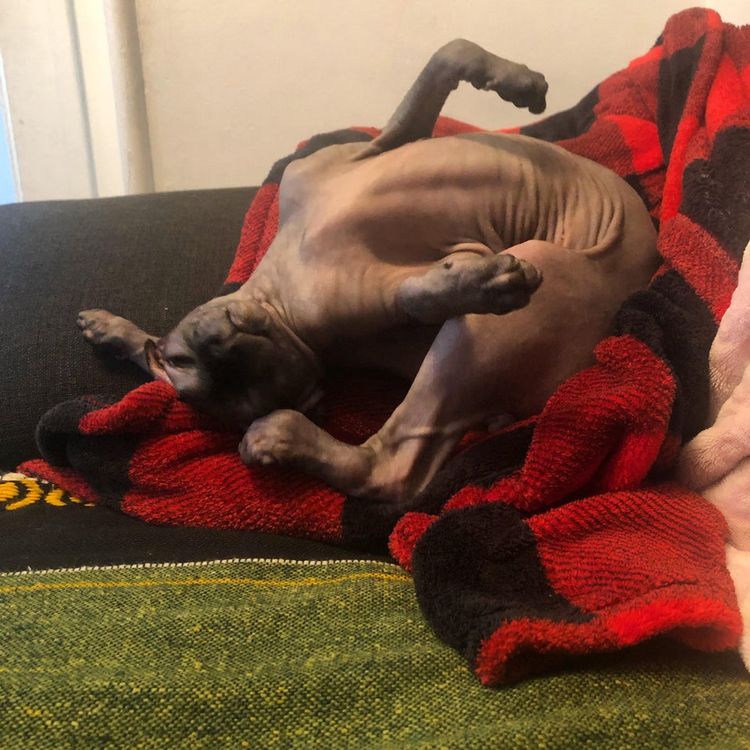 02-21-30-164425863528796383