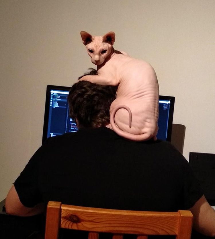 02-21-30-16442586381730296683