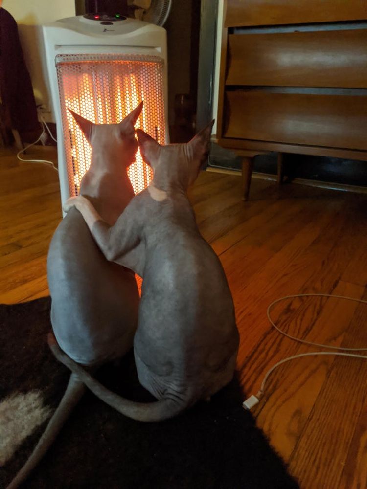 02-21-30-16442586411412539672