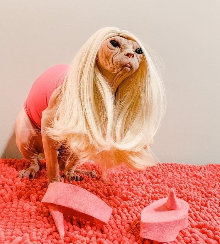 02-21-30-16442586551237519655