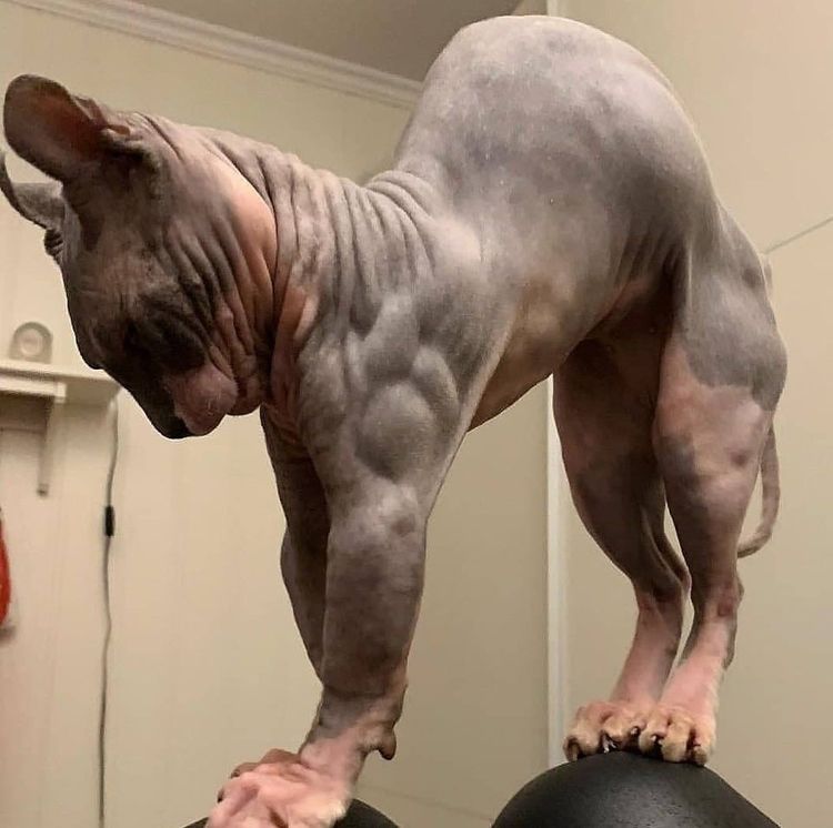 02-21-30-1644258658449440265