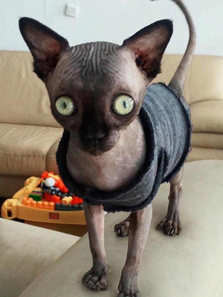 02-21-57-164426026082904962