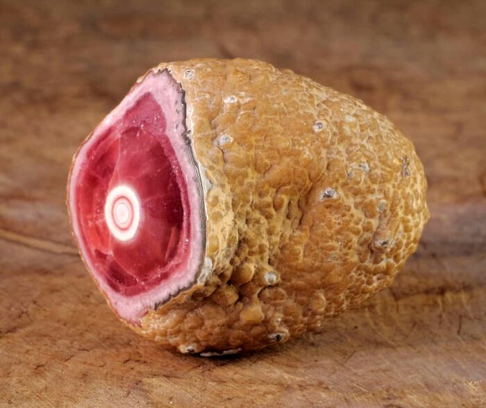 02-22-46-16450407831293644141