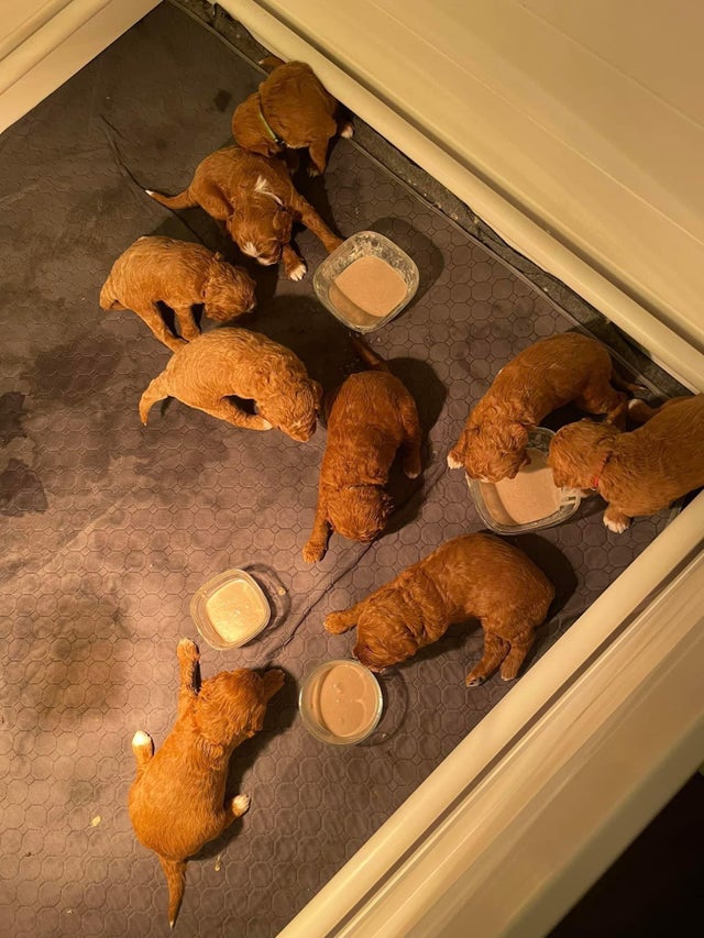 02-22-46-1645040805128885905