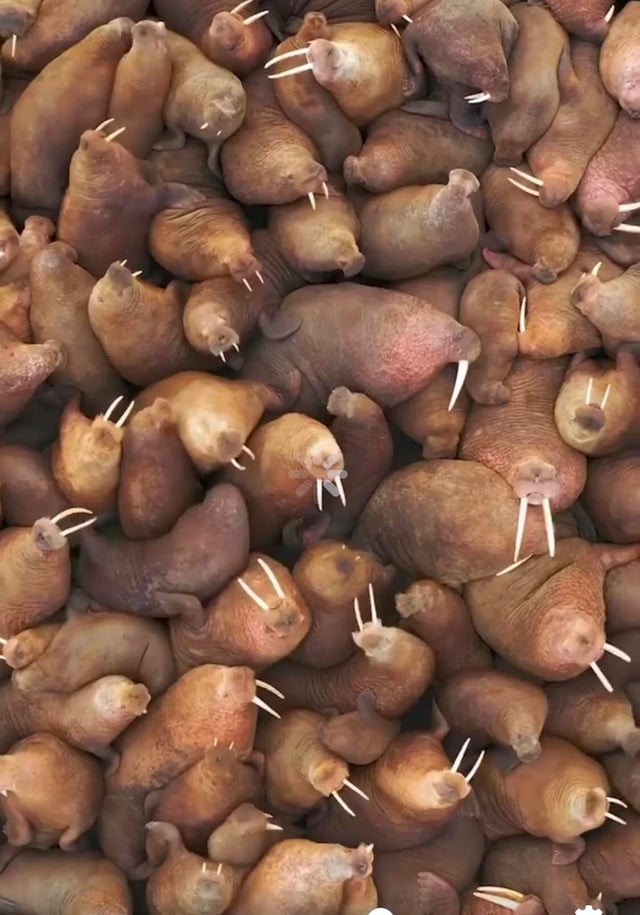 02-22-46-1645040816502543605