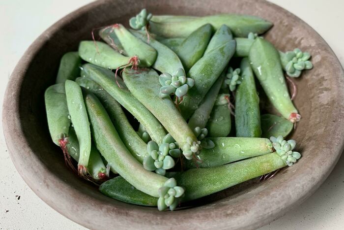 02-22-47-16450408431490136792