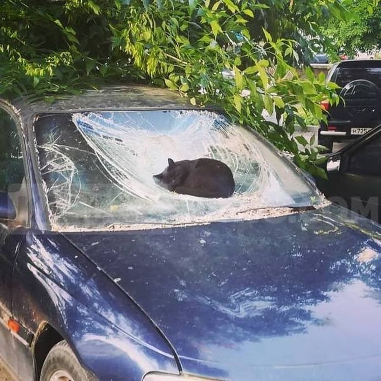 03-11-02-1646812961726226218