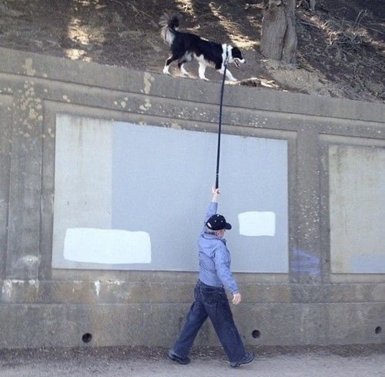 03-11-02-16468129642091105965