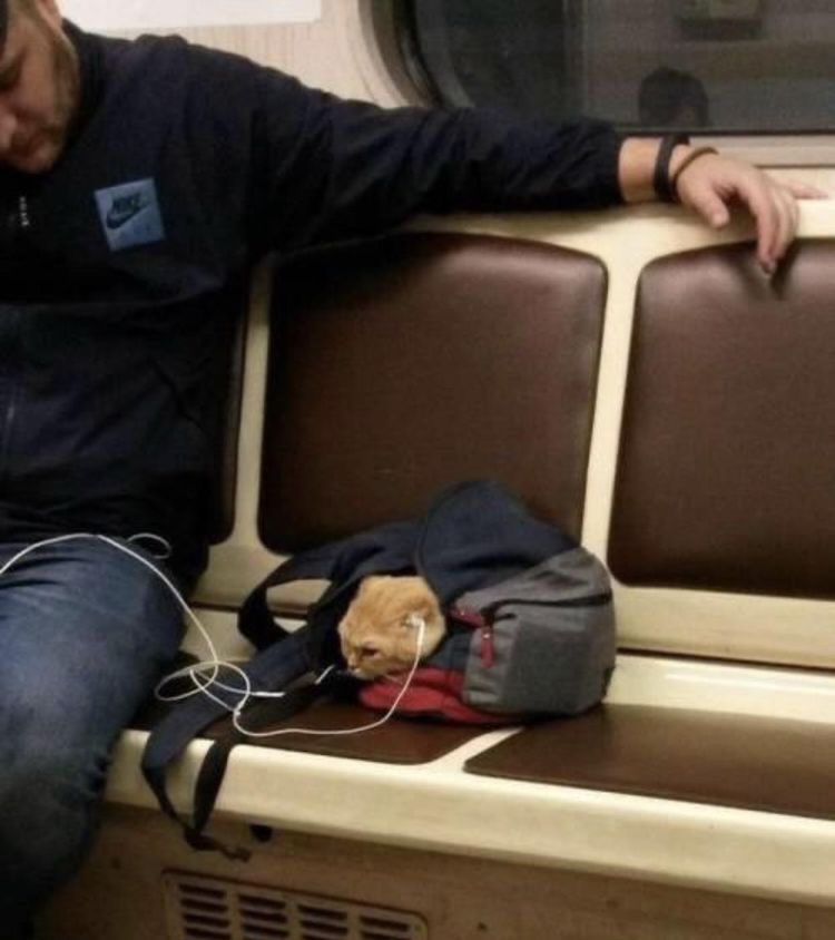 03-11-02-16468129671270673430