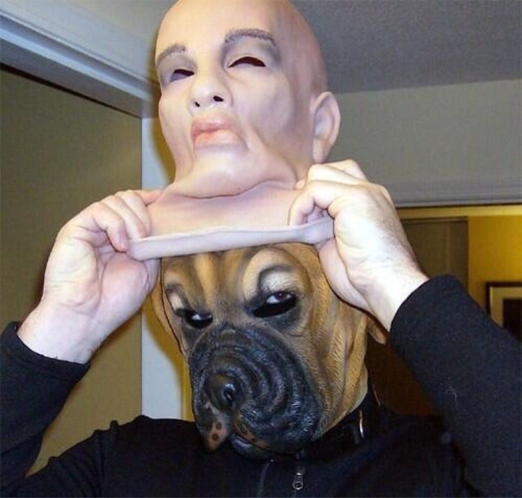 03-11-03-1646812991683335765