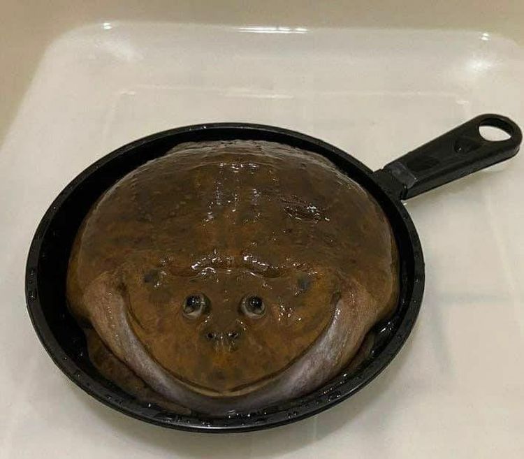 03-11-03-1646812998851745128