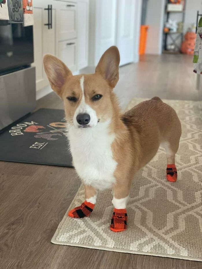 03-11-03-16474178121406622085