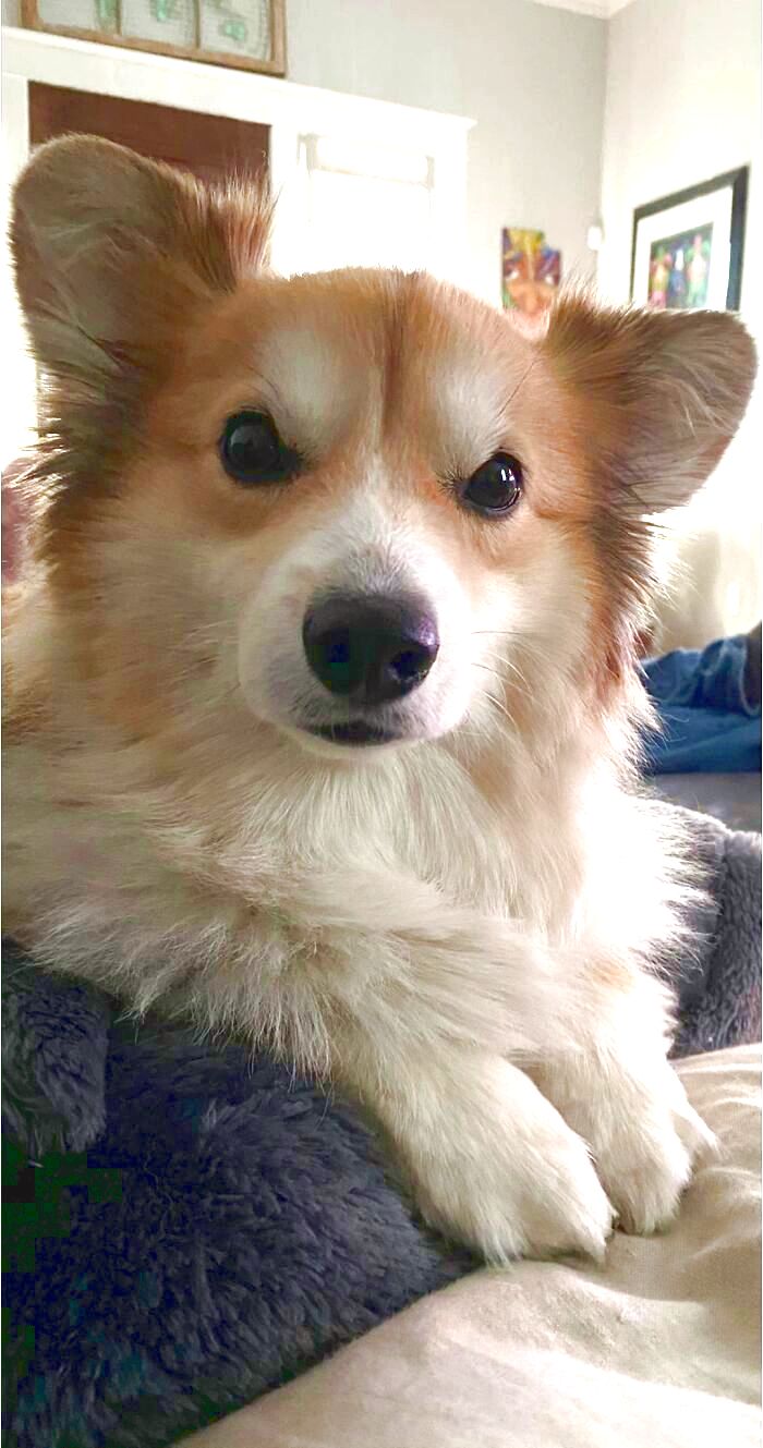 03-11-03-1647417817370910486