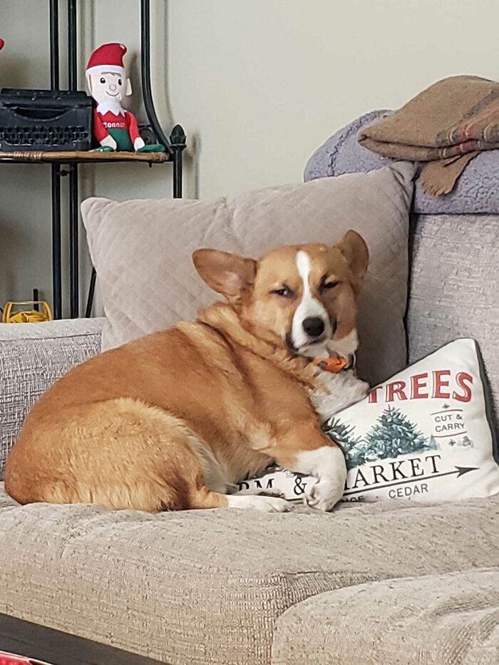 03-11-03-16474178201948918875