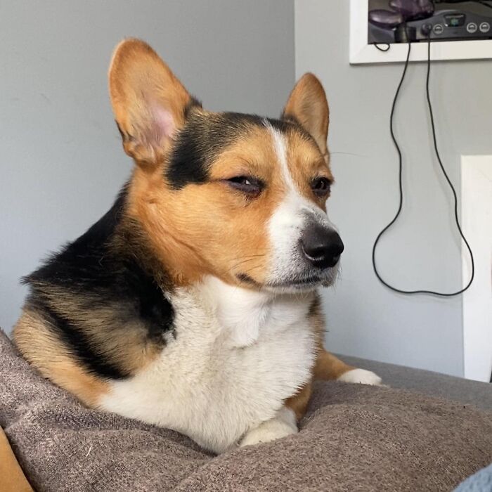 03-11-03-1647417827273003818