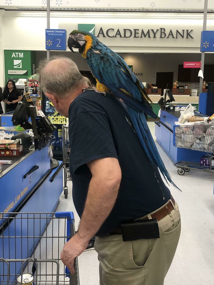 03-11-04-1648022690559876914