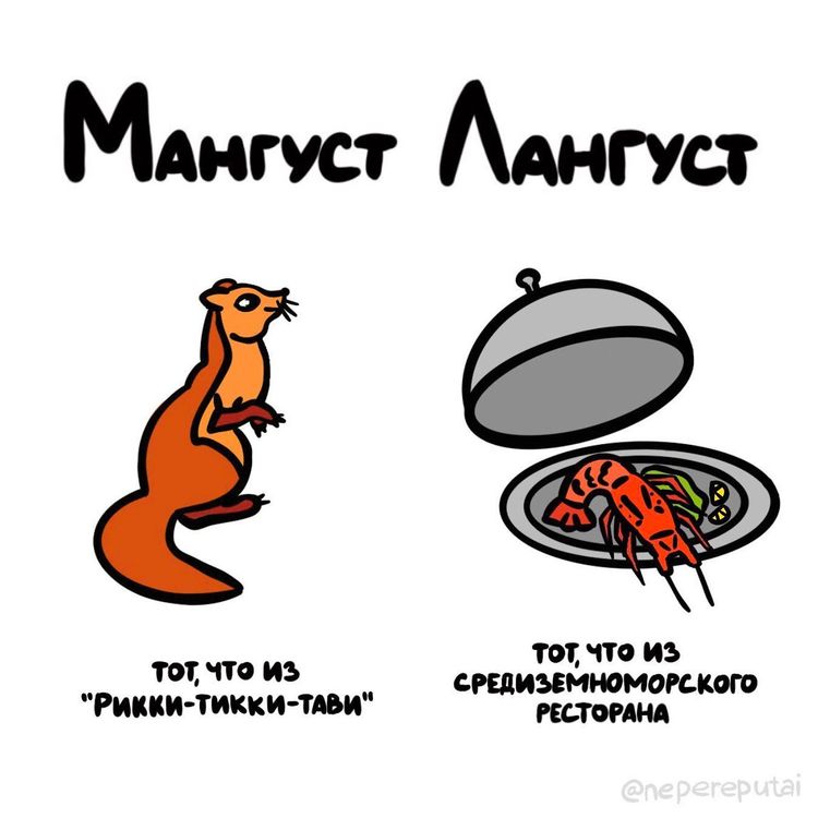 03-11-30-16462962402055555884