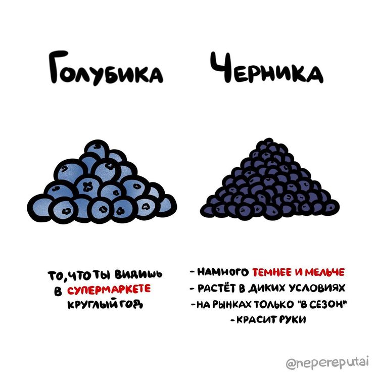 03-11-30-16462962471238092118