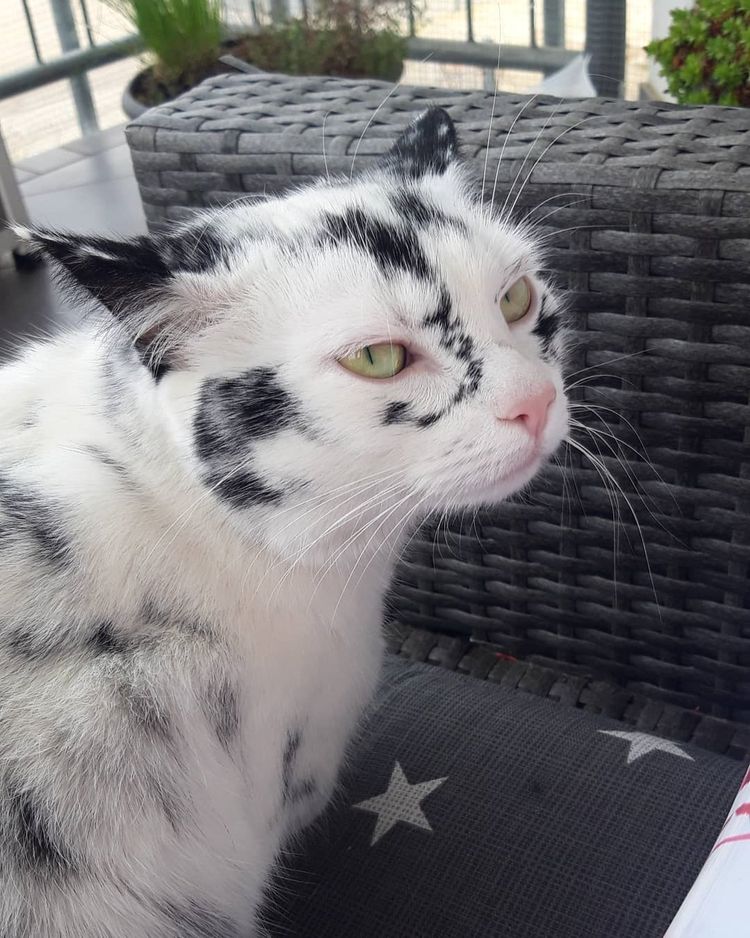 03-11-50-16480254051543859602