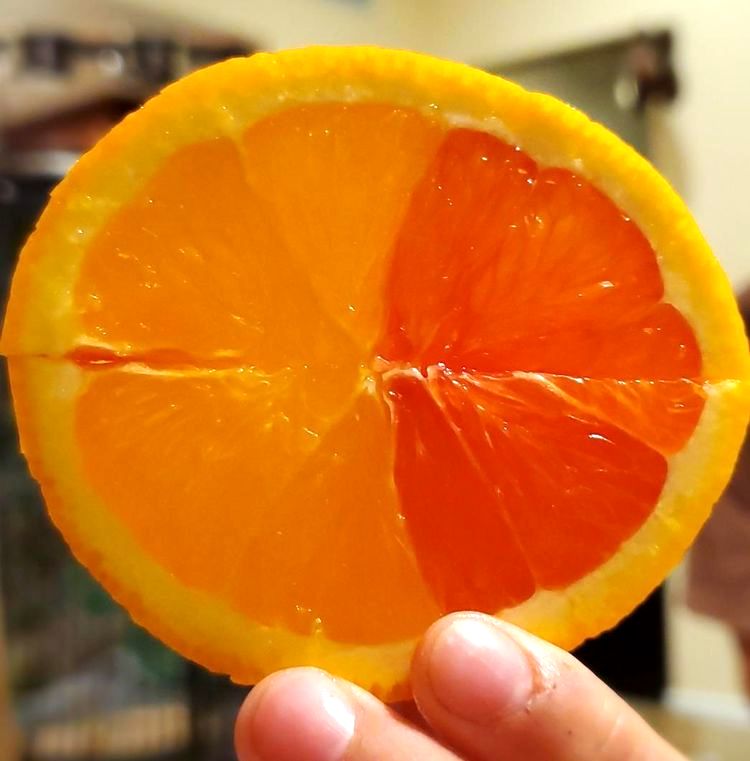 03-11-50-16480254191314640978