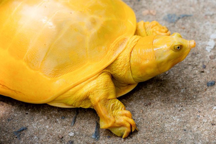 03-11-50-1648025426131901276