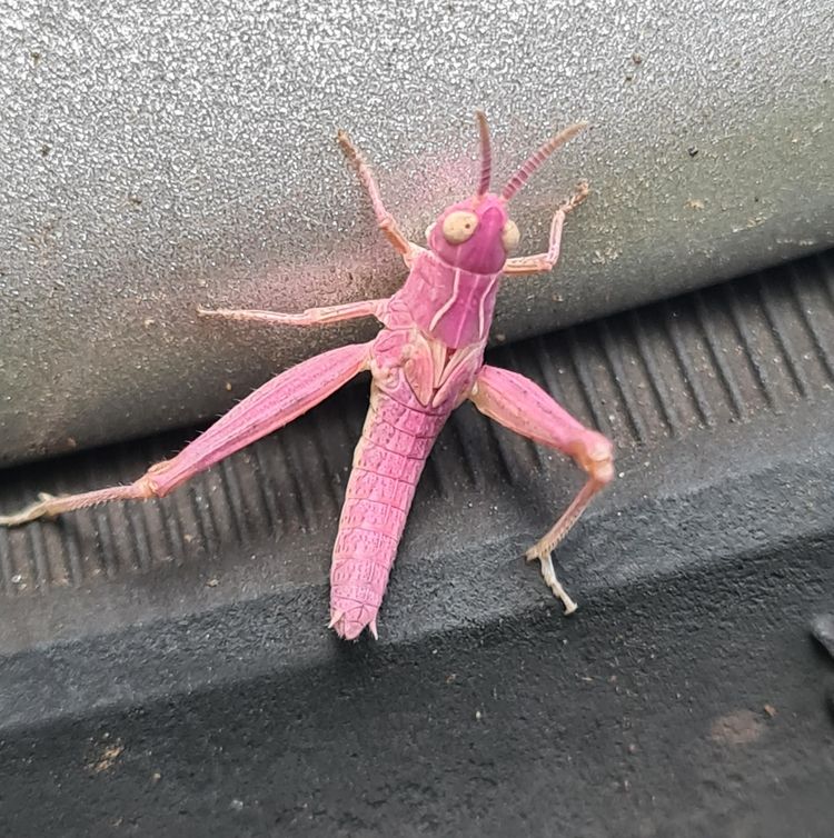 03-11-50-16480254321162244504