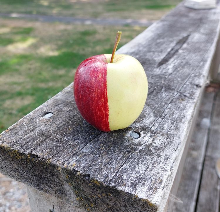 03-11-50-1648025436361178440