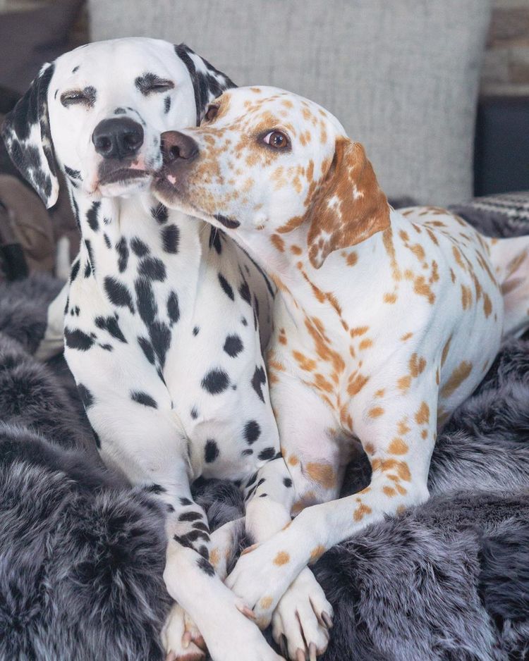 03-11-50-16480254421562342081