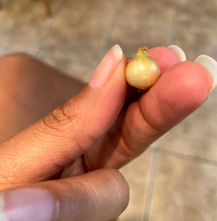 03-11-53-1647420807182512634