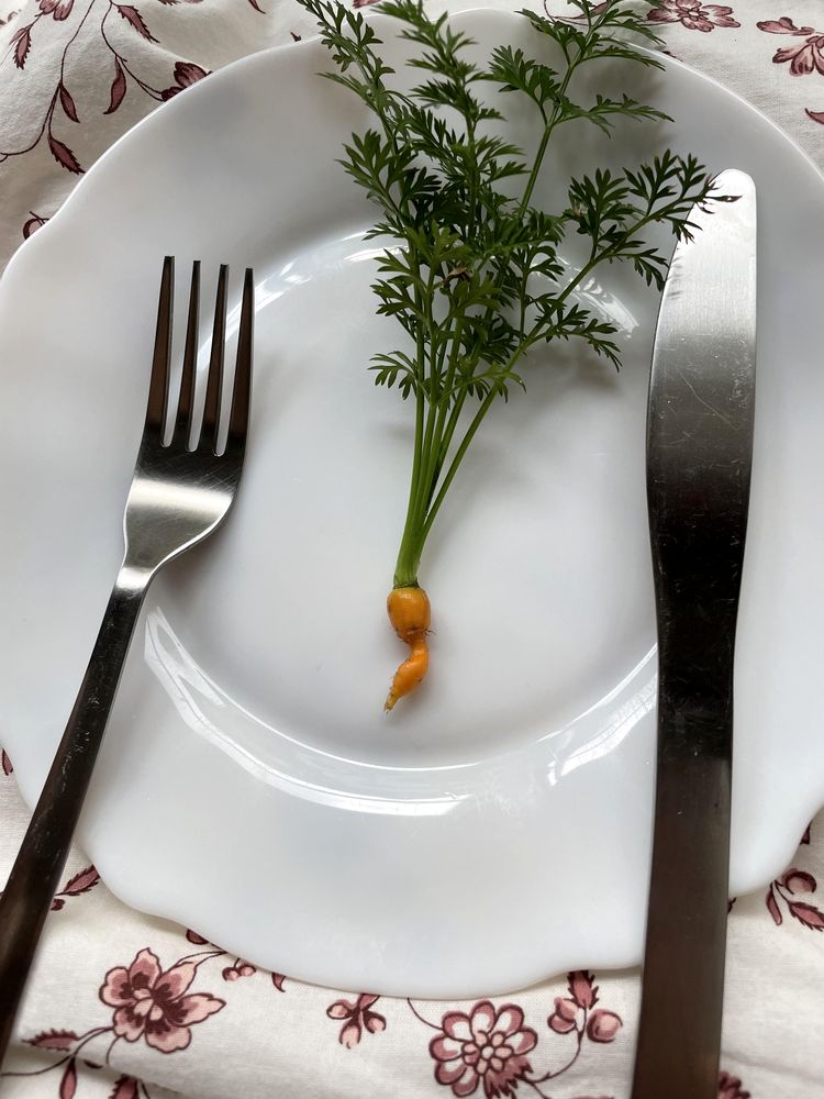 03-11-53-16474208141052227816