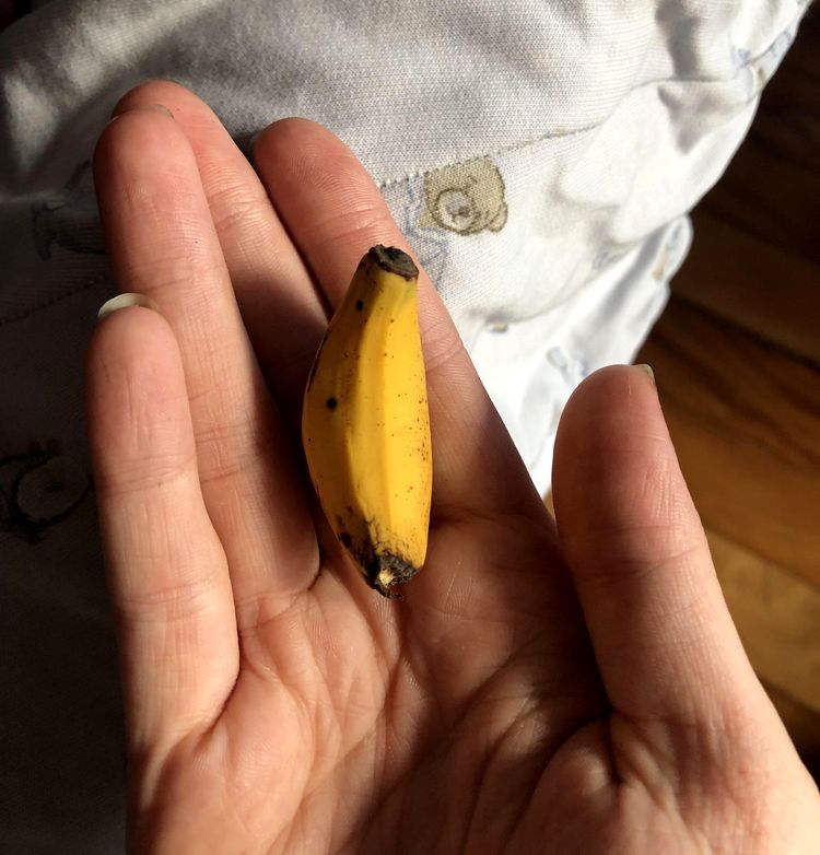 03-11-53-16474208201974091583