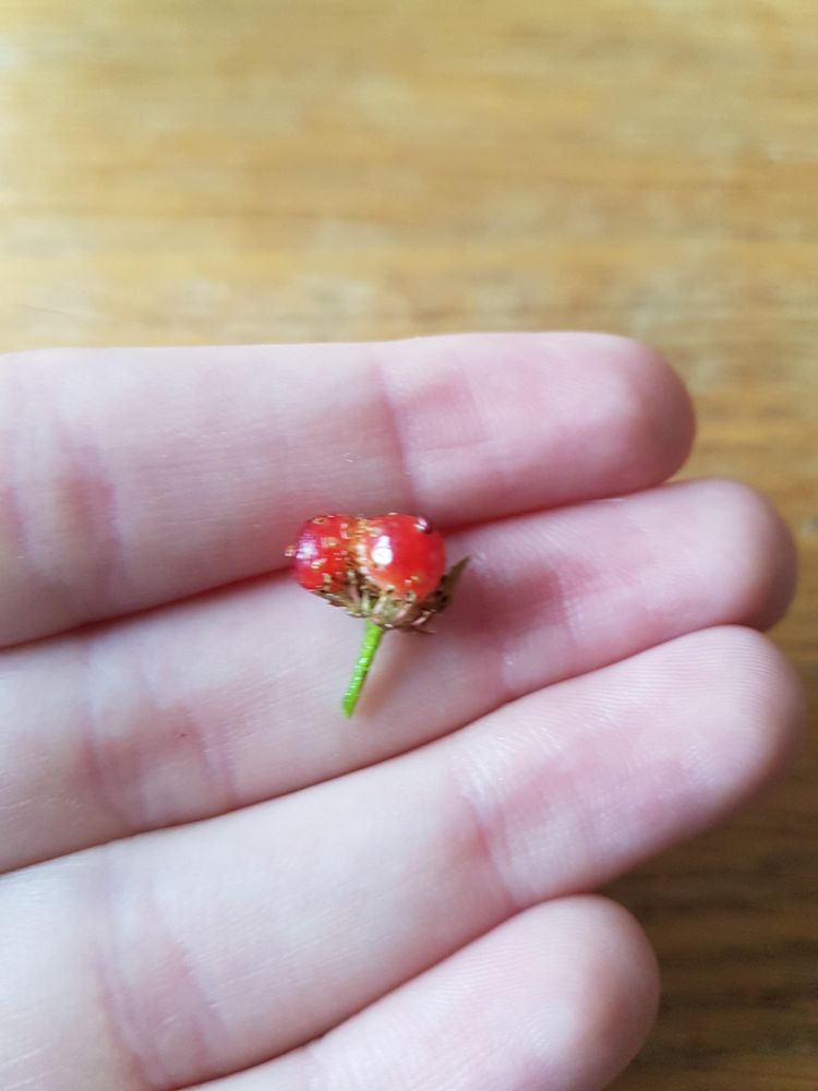 03-11-53-16474208311903454821