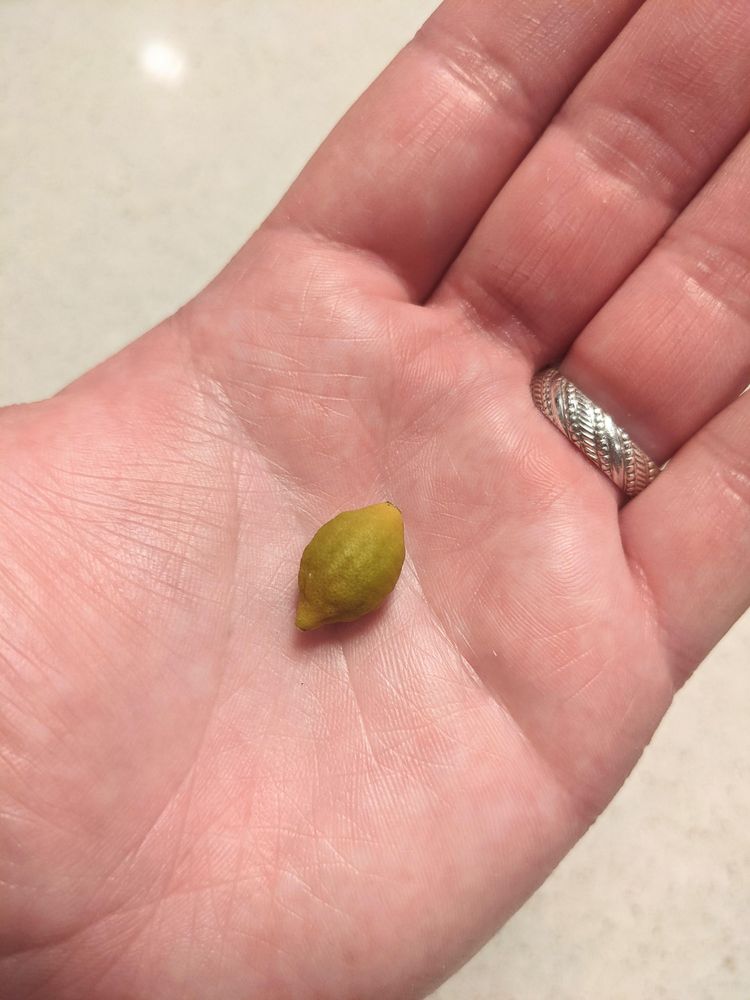 03-11-54-16474208411943413291