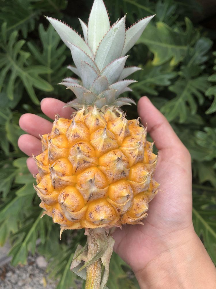 03-11-54-1647420847829366331