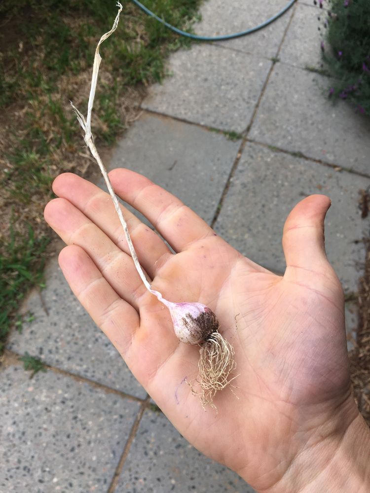 03-11-54-1647420850872011278