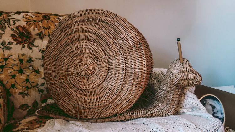 03-12-25-164845952923025849