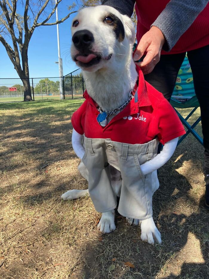 03-12-28-16472500961786120995