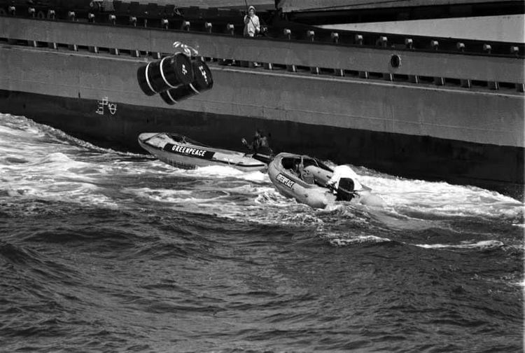 03-12-31-16462135001327540859