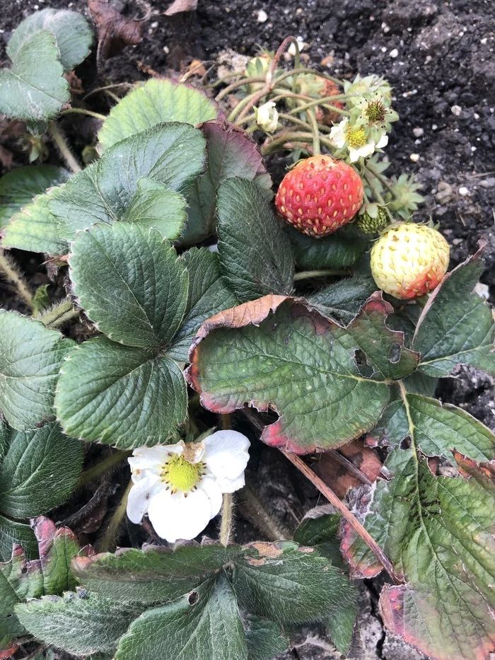 03-12-36-16486330071964415223