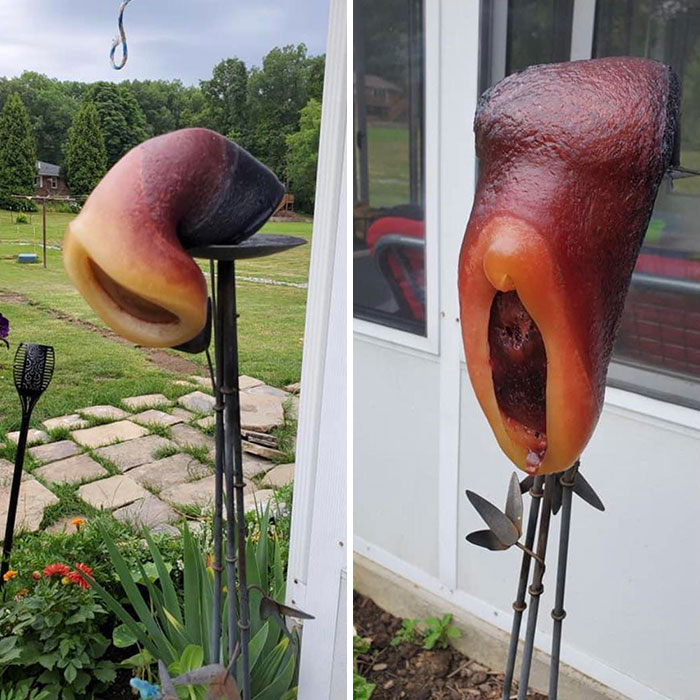 03-12-37-1648633034837710419